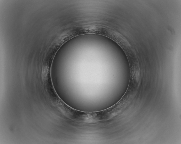 X0000113020660200908271434