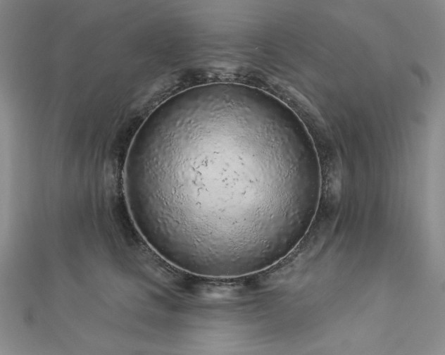 X0000113020661200908271434