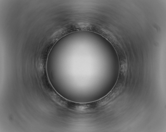 X0000113020662200908271434