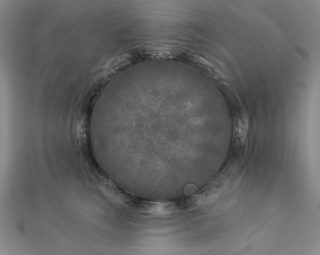 X0000113020663200908271434