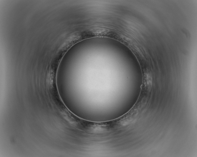 X0000113020664200908271434