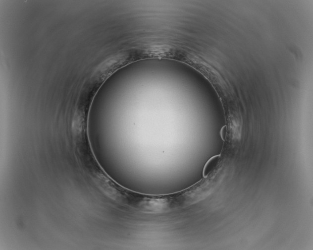 X0000113020665200908271434