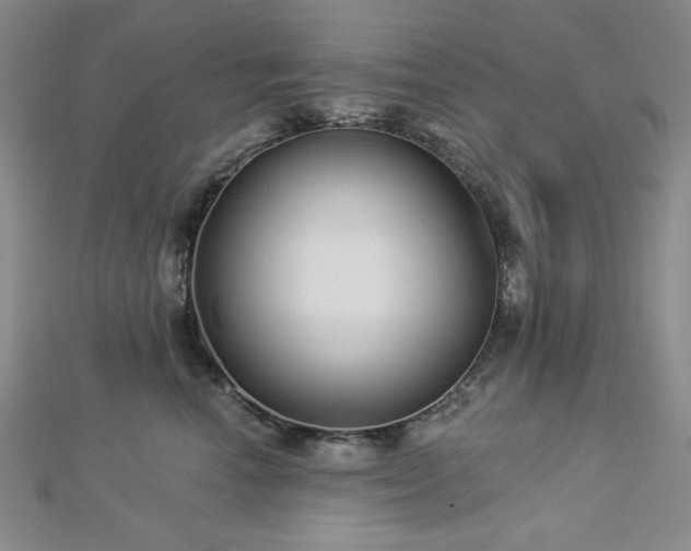X0000113020666200908271434