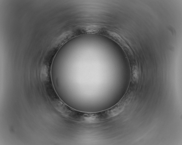 X0000113020667200908271434