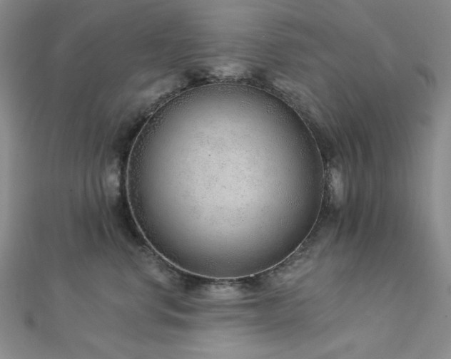 X0000113020668200908271435