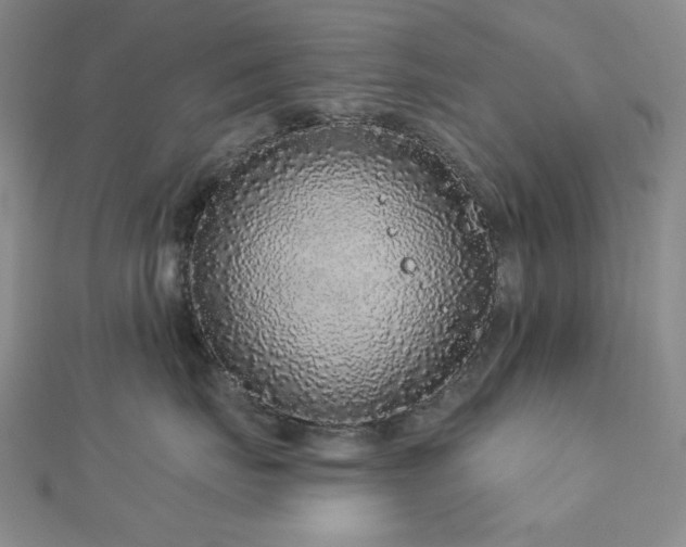 X0000113020671200908271435