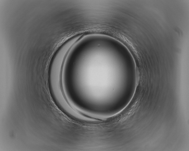X0000113020673200908271434
