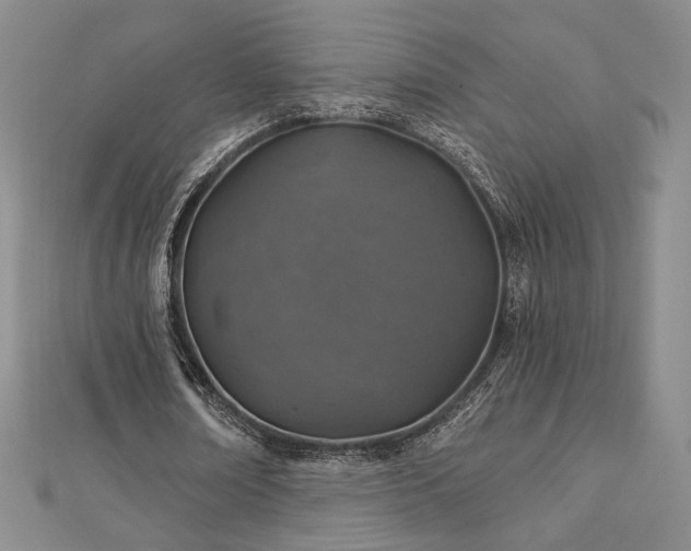 X0000113020674200908271434