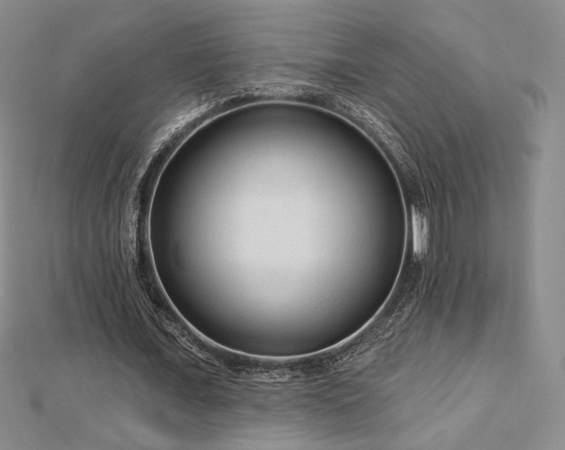 X0000113020675200908271434