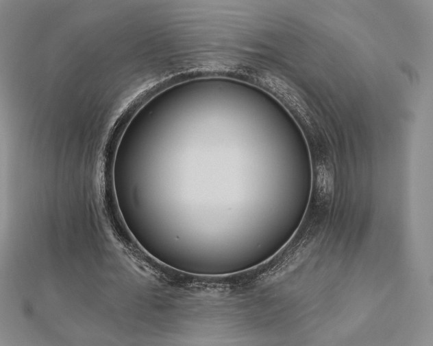 X0000113020676200908271434