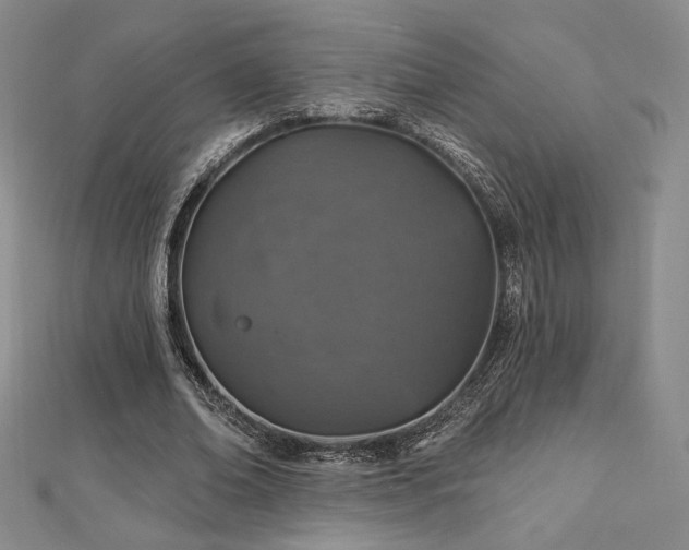 X0000113020678200908271434