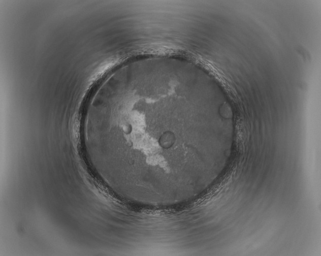 X0000113020679200908271434