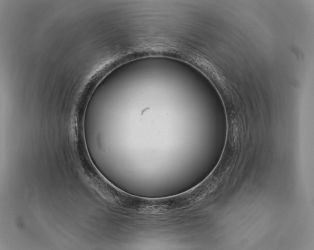 X0000113020680200908271434