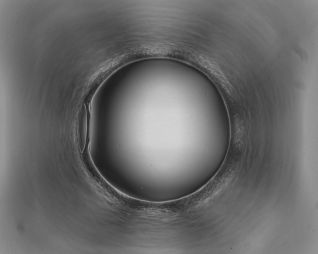 X0000113020681200908271434