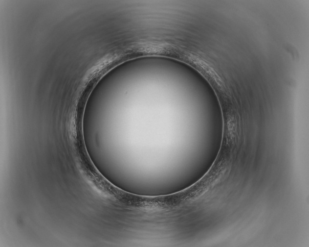 X0000113020682200908271434