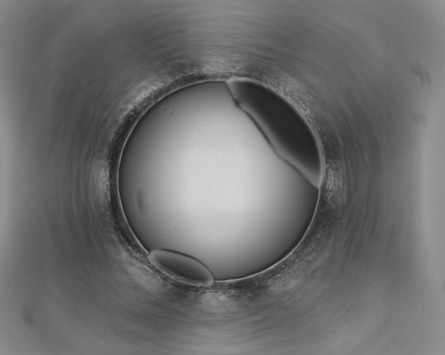 X0000113020684200908271434