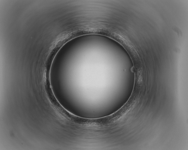 X0000113020685200908271434