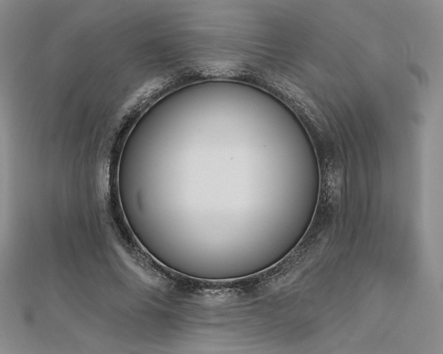 X0000113020686200908271434