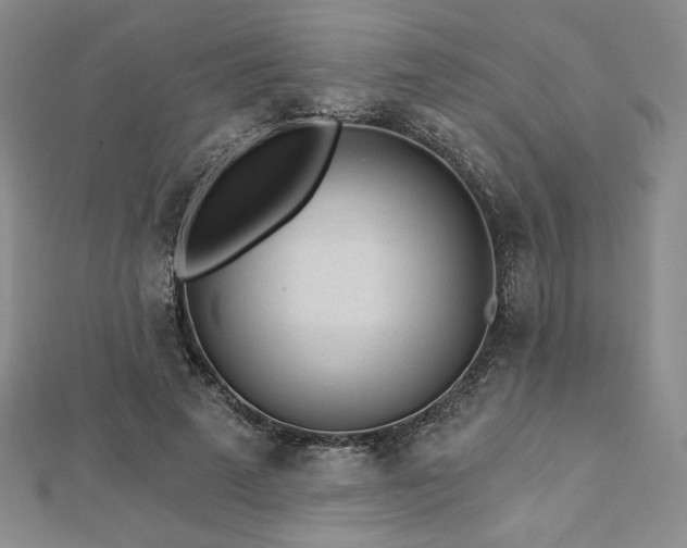 X0000113020689200908271434