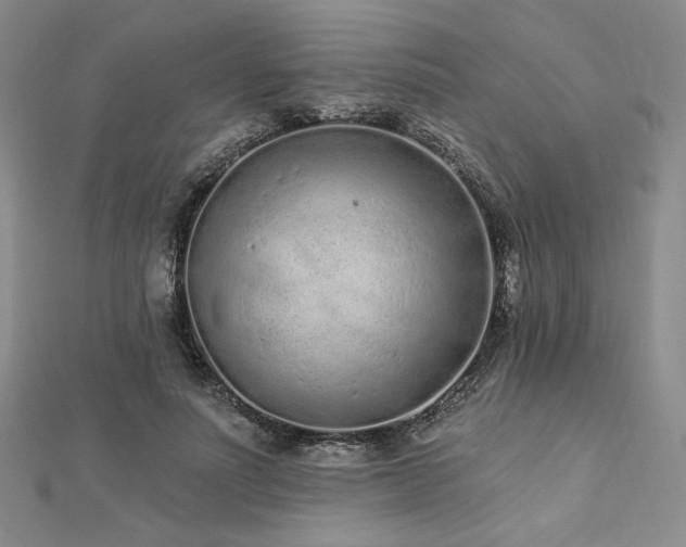 X0000113020691200908271434