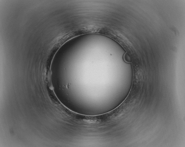 X0000113020693200908271434