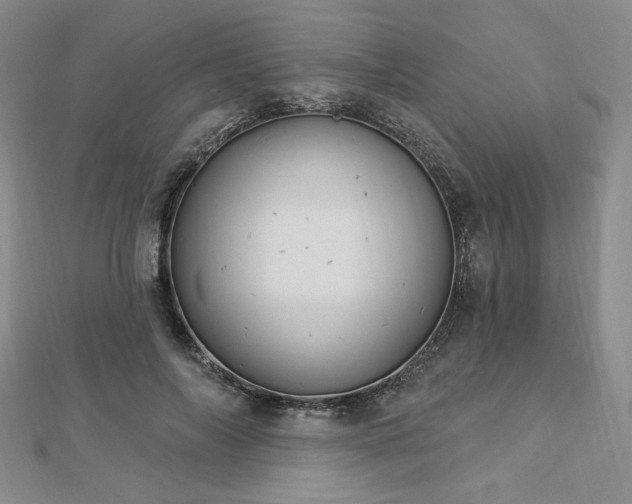 X0000113020694200908271434