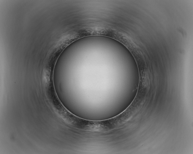 X0000113020695200908271434