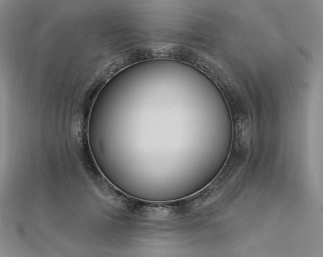 X0000113020698200908271434