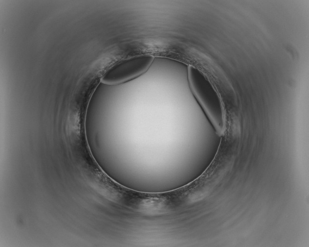 X0000113020700200908271434