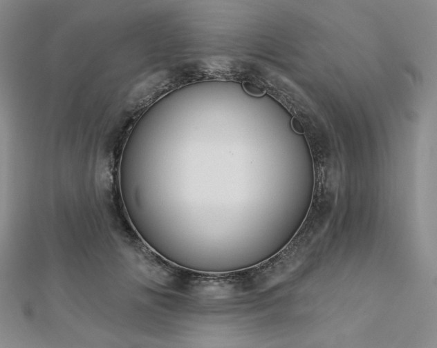 X0000113020702200908271434