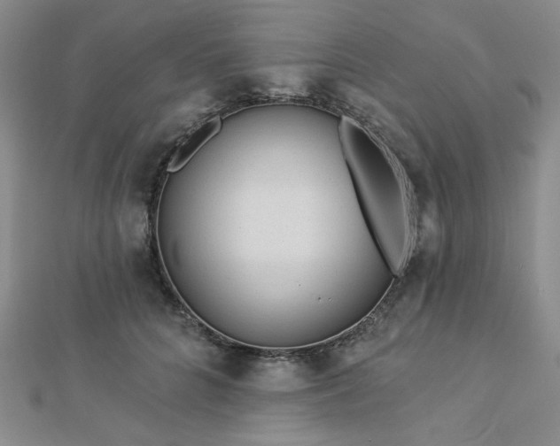 X0000113020704200908271434