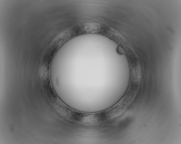 X0000113020705200908271434