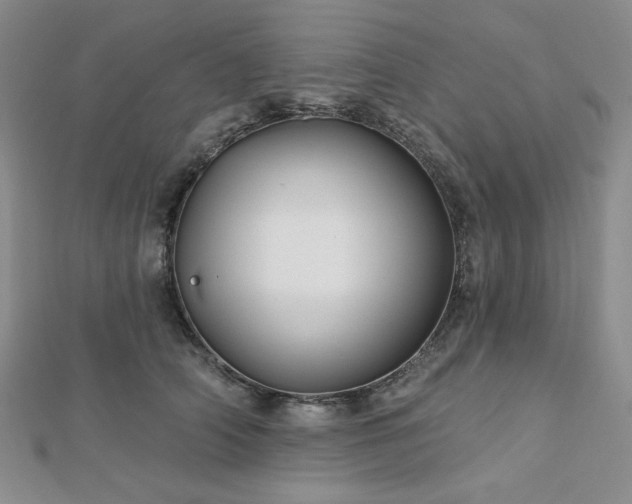 X0000113020706200908271434