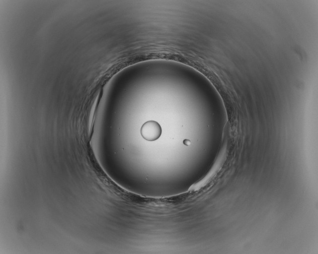 X0000113020708200908271433