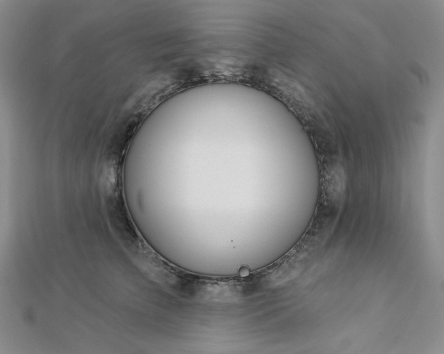 X0000113020709200908271433