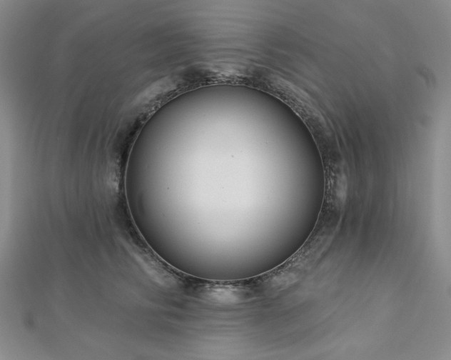 X0000113020710200908271433