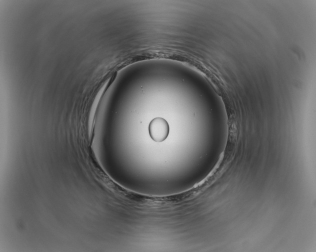 X0000113020713200908271433