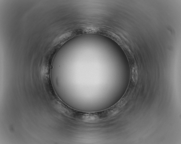 X0000113020714200908271433