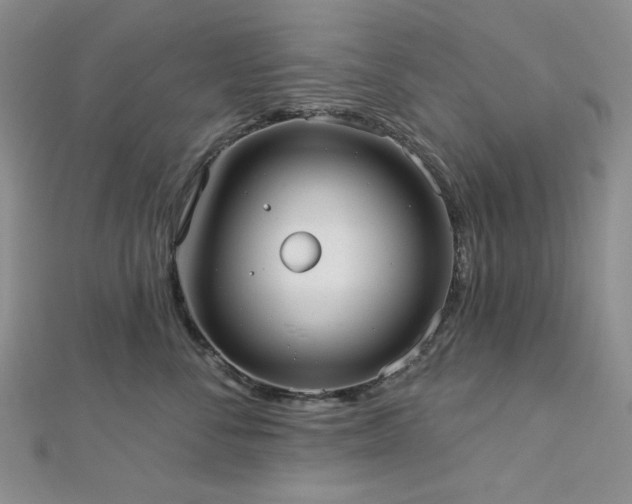X0000113020716200908271433