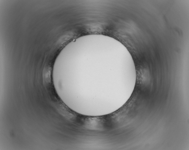 X0000113020717200908271433