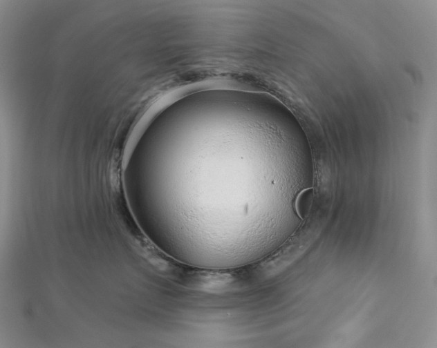 X0000113020719200908271433