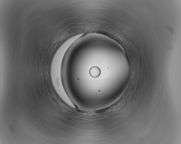 X0000113020720200908271433