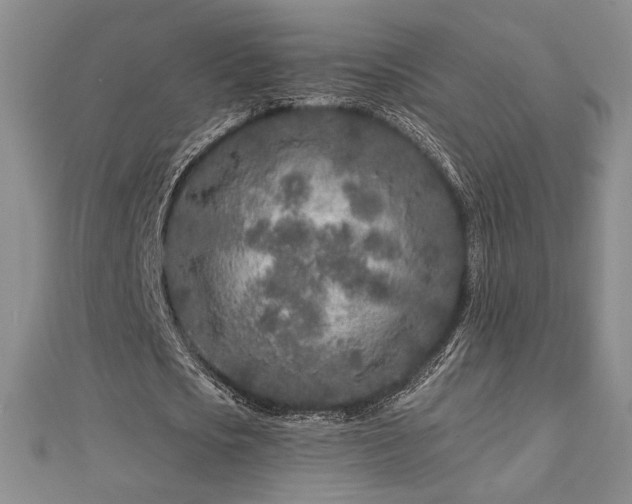 X0000113020721200908271433