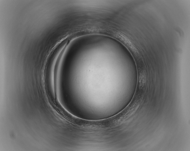 X0000113020722200908271433