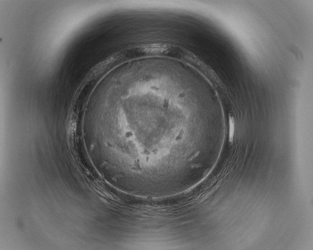 X0000113020723200908271433