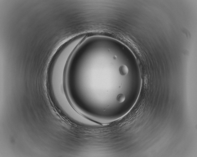 X0000113020724200908271433