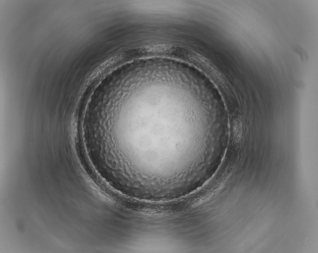 X0000113020725200908271433