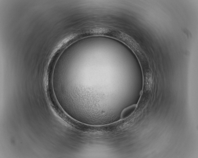 X0000113020726200908271433