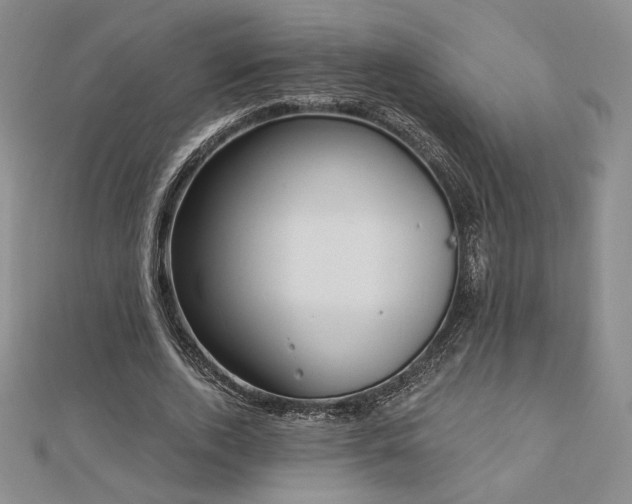 X0000113020728200908271433