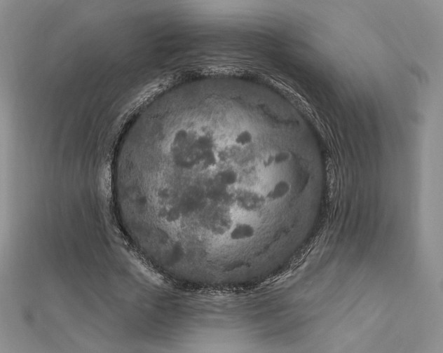 X0000113020729200908271433